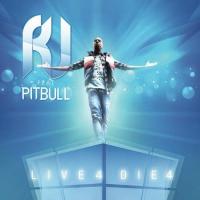 Live 4 Die 4 (David May Extended Mix) R.J. & Pitbull Song Download Mp3