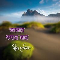 Tomaro Lagiyare Sobai Kande Nina Hamid Song Download Mp3