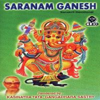 Ganesha Ashtakamu Gangadhara Sastry,Chalapathi Rao Song Download Mp3