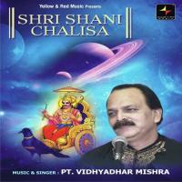 Shree Shani Chalisa Pt. Vidyadhar Mishra Song Download Mp3