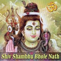 Shiv Tandav Stotram Shyamal,Sobhil,Aarti Song Download Mp3