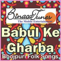 Baabul Ke Gharwa Se Vishal,Amar,Payal,Khusbu Song Download Mp3