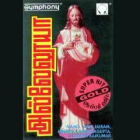 Anandamae Anandam Minmini Song Download Mp3