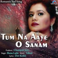 Tum Na Aaye O Sanam Runa Laila Song Download Mp3