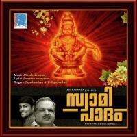 Verumoru Karaoke Muraleekrishna Song Download Mp3