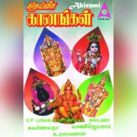 Paarengum Un Kovil Balasubramaniam Song Download Mp3