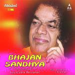 Sadguru Charanam Usha Seturaman Song Download Mp3