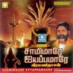 Parasuramar Bhoomi Veeramanidaasan Song Download Mp3