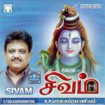 Karunai Mazhai S.P. Balasubrahmanyam Song Download Mp3