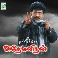 Pugai Padam U. Srinivas Song Download Mp3