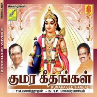 Ponnalagu Thirumarbil S.P. Balasubrahmanyam Song Download Mp3