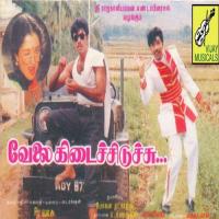 Nenachadhum Nadandhachu K. S. Chithra,S.P.B. Song Download Mp3