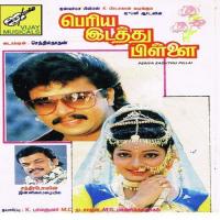 Manasula Enna Sushila P.,K.J.Y. Song Download Mp3