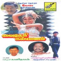 Jootudhan Jootudhan K. S. Chithra,S.P.B. Song Download Mp3