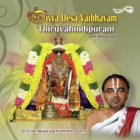 Divya Desa Vaibhvam Sri U. Ve Velukkudi Krishna Swamy Song Download Mp3