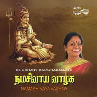 Aadum Chidambaram Bhushany Bhushany Kalyanaraman Song Download Mp3