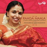 Sonnadhaicheidhida Sudha Ragunathan Song Download Mp3