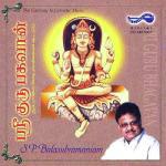 Aadhaaram Neeyae S. P. Balasubrahmanyam Song Download Mp3