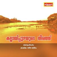 Kallayippuzhayude Theerathu Seena Pallikkara Song Download Mp3