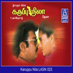 Chinnavare Mano,K. S. Chithra Song Download Mp3