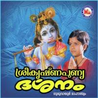 Guruvayurappante Baby Aiswarya,Ganesh Sundaram Song Download Mp3