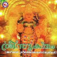 Kodiyerunnu Thiruvulsavam Ayana Venugopal Song Download Mp3