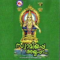 Swamiyappa Saranamappa V.T. Murali Song Download Mp3