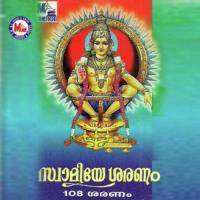 108 Saranam Satheesh Babu Song Download Mp3