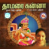 Kilimagale Sruthipriya Song Download Mp3