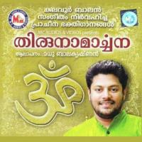 Harivarasanam Madhu Balakrishanan Song Download Mp3