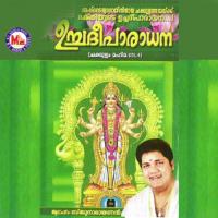 Pathivakki Njanente Biju Narayanan Song Download Mp3