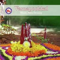 Thiruvinanaalalle Jeevan Song Download Mp3