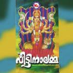 Aathmaavilunarum Suresh Vasudev Song Download Mp3