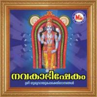 Parapara Satheesh Babu Song Download Mp3