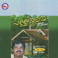 Nagathevare Santhosh Chandran,Latha Biju Song Download Mp3