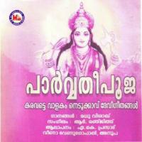 Souparinikayile Veena Song Download Mp3