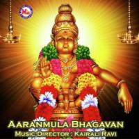 Karimukiloli Varnaa Anu V. Sudev,Chorus Song Download Mp3