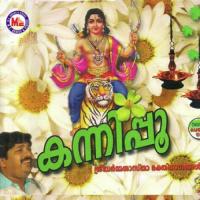 Anujanadhikara Manu Thevalakkara Song Download Mp3