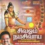 Har Har Sivame S.P. Balasubrahmanyam Song Download Mp3