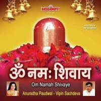 Shiv Teri Jai Sanjvee Song Download Mp3