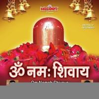 Om Nama Shivaye Vipin Sachdeva Song Download Mp3