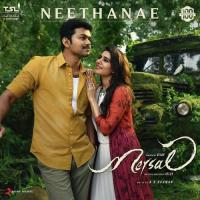 Neethanae (From "Mersal") Kajal Aggarwal,Vijay,Samantha Ruth Prabhu,Nithya Menen,A.R. Rahman,Shreya Ghoshal Song Download Mp3