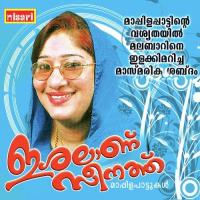 Aranu Pathrakku Kannur Zeenath Song Download Mp3