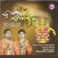 Sakalam Brahmmamayam Anoop A. Kammathu Song Download Mp3