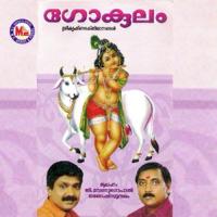 Harinarayana Krishna Hare Satheeshan Namboothiri Song Download Mp3