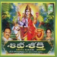 Shivashtakam N. Pardha Saradhi Song Download Mp3