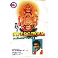 Keerthiyeridum (Devotional) P.V. Preetha Song Download Mp3