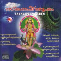 Sree Mahadevan (Devotional) Ravi Shankar Song Download Mp3