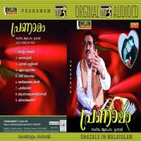 Kinavilenthinu Umbaai Song Download Mp3