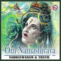 Sadhanandha Thaandavam Various Artists Song Download Mp3